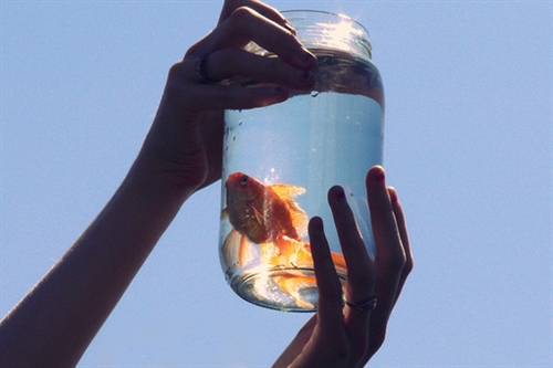 qq炫舞名字大全带符号(70个)