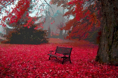 英雄联盟好听的id名字(精选86个)