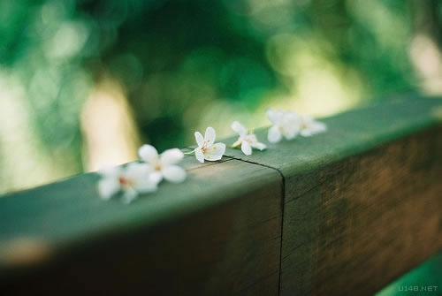 古董收藏幽默风趣句子(必备64句)