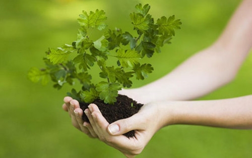 表达心情很闲很无聊的句子(共67句)