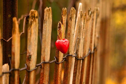 能让男人瞬间就哭的话(共83句)