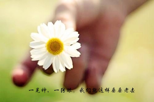 思念天堂老公的心情短语(汇总85句)