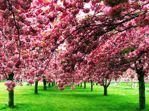 一句表达爱宝宝的句子(79句)