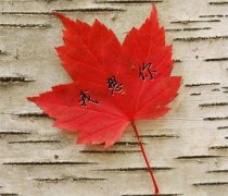 谈恋爱需要仪式感的句子(推荐100句)