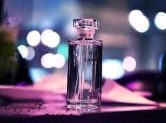 禁止酒驾的宣传标语(61句)