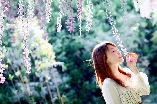 出去看桃花的心情说说(精选68句) 出去看桃花的心情说说(精选68句)