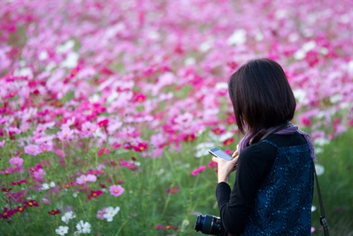 毕业感恩母校的一段话(共62句) 毕业感恩母校的一段话(共62句)