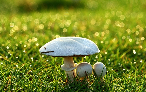 情侣恩爱网名昵称两个字(优选434个)