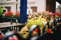 个性搞笑的游戏名字(精选203个)