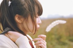 低调有诗意的家族名字(92个)