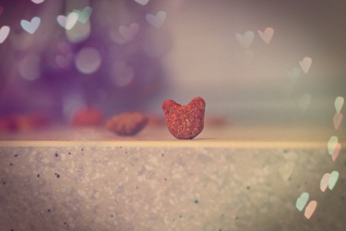 个性签名暖心情话短句(实用135句) 个性签名暖心情话短句(实用135句)