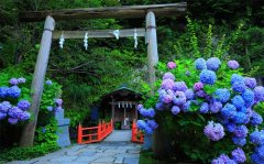 童心童趣的优美句子(精选81句)