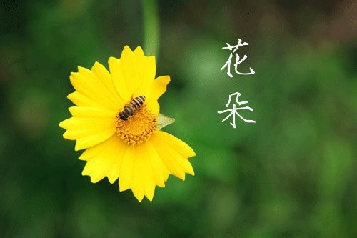 下雨天伤感的说说心情(热门81句)