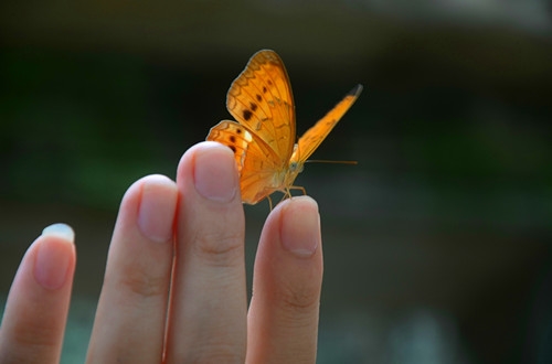 超拽冷酷霸气女生说说句子(实用156句)