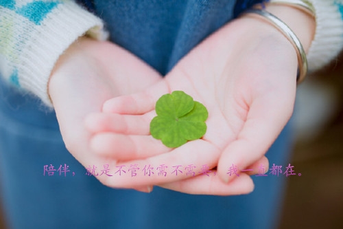 朋友圈正能量简短句子(必备115句)