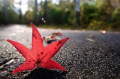 篮球霸气语录经典语录(优选80句)