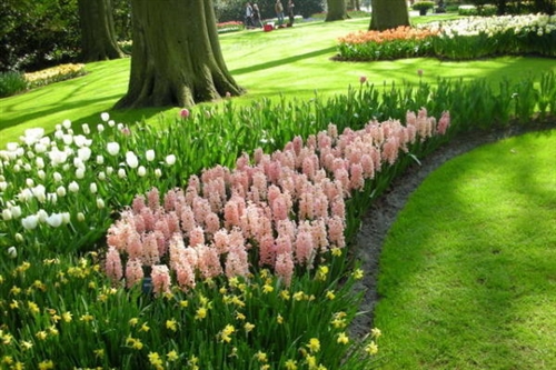 一辈子不离不弃的誓言短句(推荐69句)