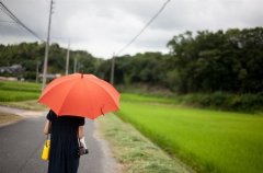 既搞笑又土气的帮派名字(精选157个)