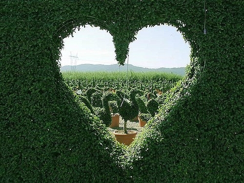 搞笑的英文名字大全(共94个)