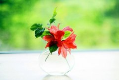 最幽默的战队名字大全(优选75个)