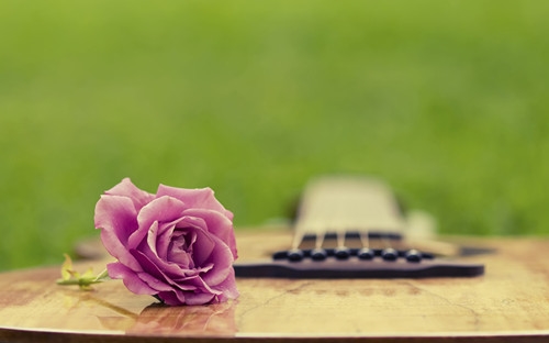 好听女生网名英文名字(优选110个)