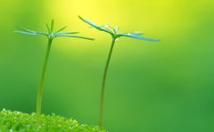 送别老公暂时离别的句子(热门101句)