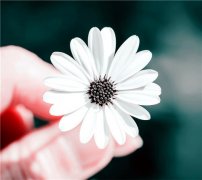 搞笑又好听的游戏名字(优选361个)