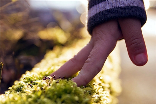 歪理搞笑恶搞的句子(83句)