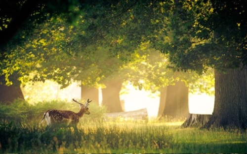 适合中午午睡发的说说(优选85句)