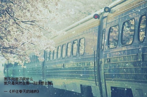 结婚一周年经典短句(共109句)