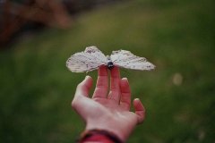 思念的句子说说心情(93句)