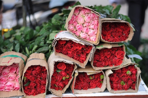 为中国加油的一句话(精选102句)