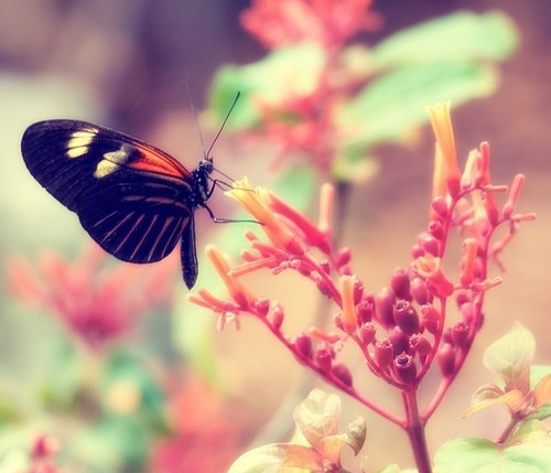 姐姐生日说说暖心的话(必备71句) 姐姐生日说说暖心的话(必备71句)