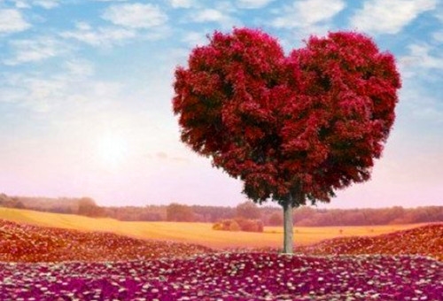 梦醒以后的说说心情短语(共77句)