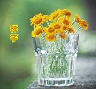 激励自己坚持努力的话(必备141句)