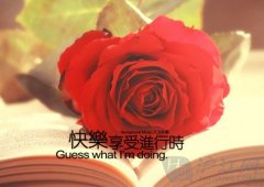 清明节说说心情的句子(优选80句)