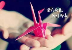 关于付出与收获的励志句子(热门50句)