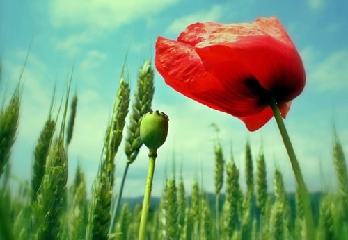 吃饭发朋友圈的句子(实用64句) 吃饭发朋友圈的句子(实用64句)