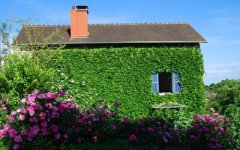 寄语清晨的美好句子(61句)