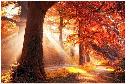 比较短的优美句子大全(优选80句)