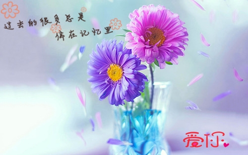 情侣一起看星空的唯美句子短句(通用48句)