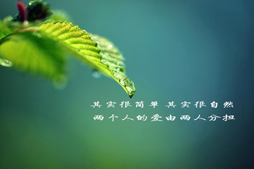 适合发朋友圈的佛系说说(汇总111句)