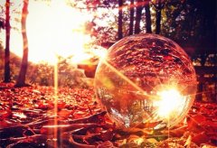 每日一句励志的话语短句(精选80句)