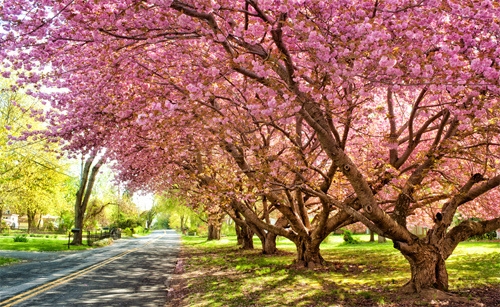 祝福同学的话简单的话(实用78句)
