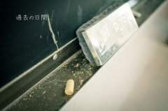 容易产生共鸣的句子(85句)