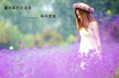 三年级摘抄大全短句(热门123句)