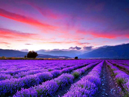 甜到炸的暖心爱情句子(实用91句) 甜到炸的暖心爱情句子(实用91句)