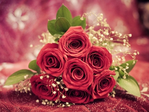 想怎么过就怎么过的说说(优选52句) 想怎么过就怎么过的说说(优选52句)