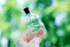 自己养花看花的心情说说(热门80句)