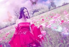 踏踏实实做事简短句子(推荐74句)